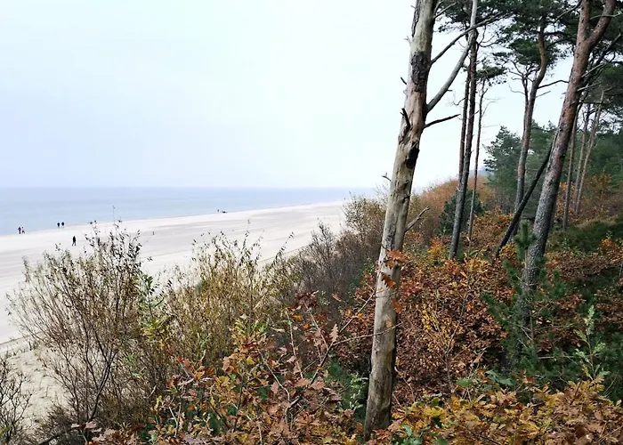 Natalia 2 Jastrzębia Góra